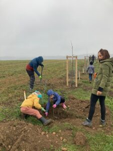 96ad47ac9f00f369451a09f2a4b1c647