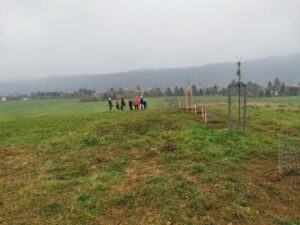 WhatsApp Image 2024-11-11 at 07.41.35 (2)