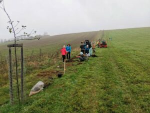 WhatsApp Image 2024-11-11 at 07.41.35 (3)