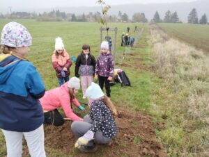 WhatsApp Image 2024-11-11 at 10.30.54 (1)