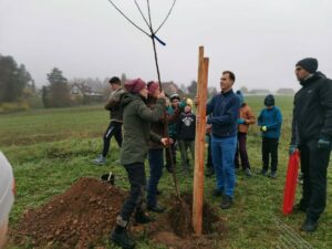 WhatsApp Image 2024-11-11 at 10.30.54 (3)