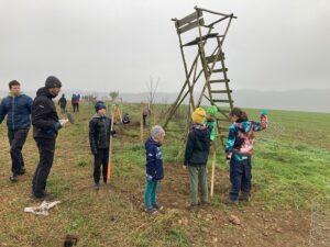 e8489428727bab96751cd7a1671b8783